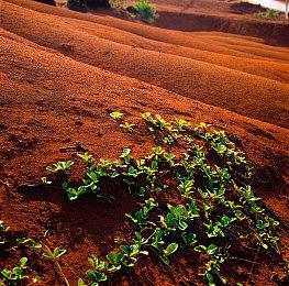 《地平线：西之绝境》PS4 Pro预告 画面真美！